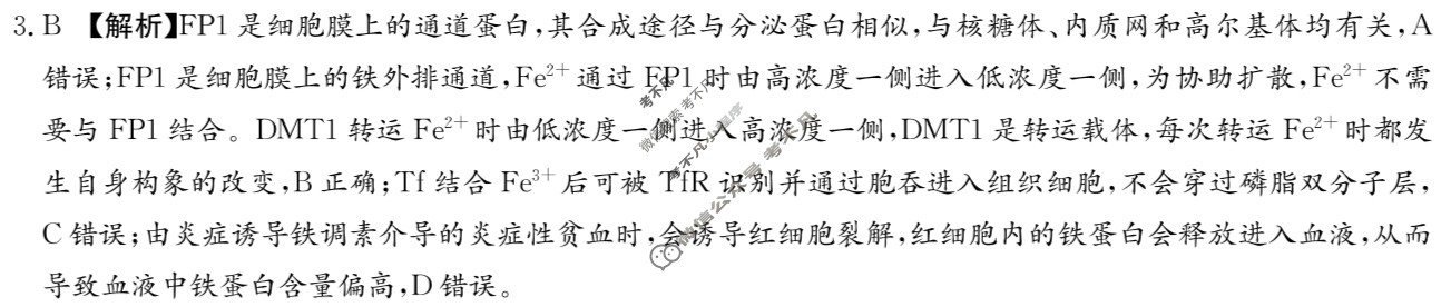 炎德英才大联考(雅礼版)雅礼中学2024届模拟试卷(一)1生物答案
