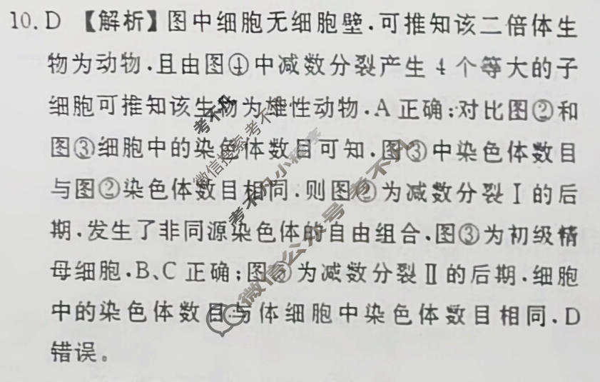 2024届衡水金卷先享题 压轴卷[甘肃专版]生物(一)1答案