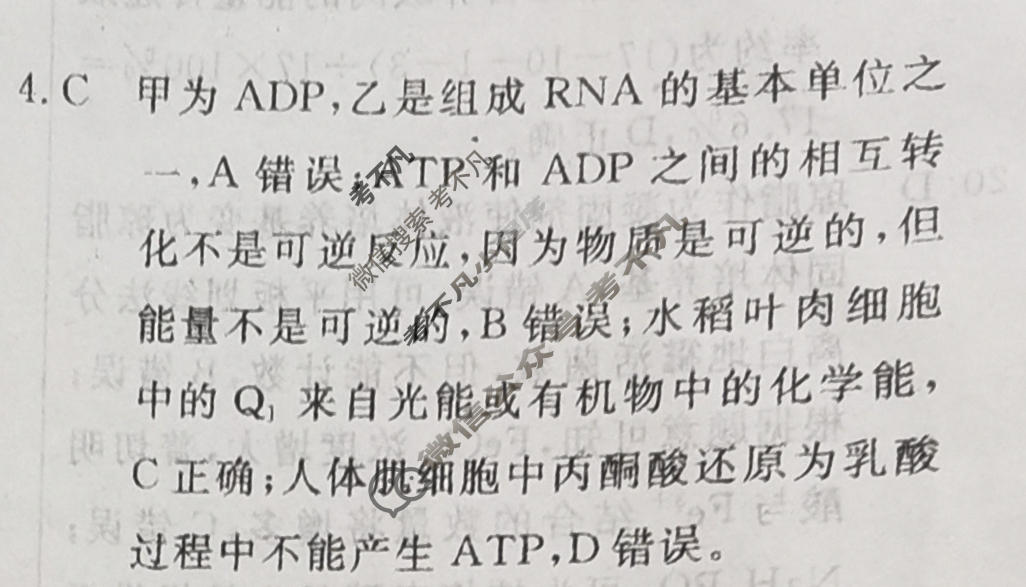 高三2024年普通高等学校招生统一考试 新S4·临门押题卷(一)1生物答案