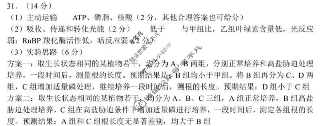 郑州市2024年高中毕业年级第三次质量预测(郑州三测)理科综合答案