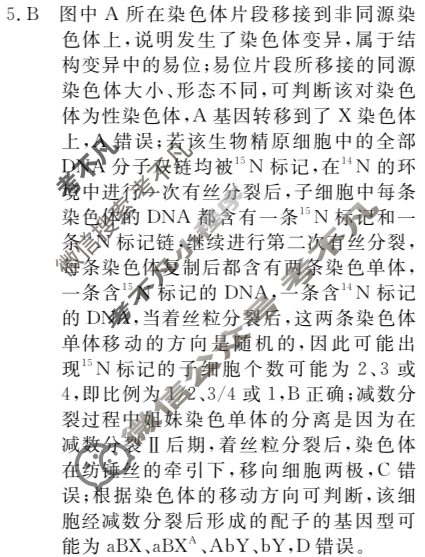 高三2024年普通高等学校招生统一考试 GDX4G·最新模拟卷(三)3生物GDX4G答案