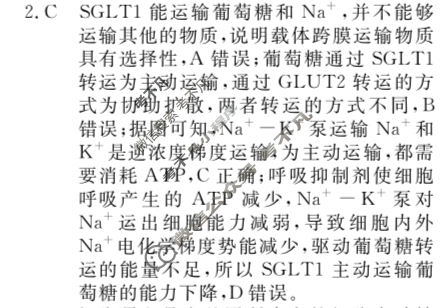 高三2024年普通高等学校招生统一考试 GDX4G·最新模拟卷(一)1生物GDX4G答案