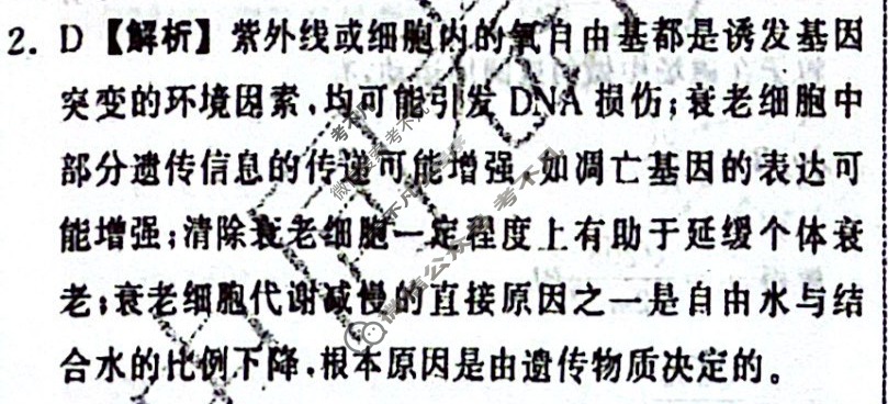 衡中同卷 2024届 信息卷[全国卷]理科综合(六)6答案