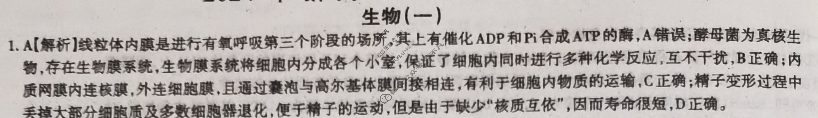 高三2024年新高考冲刺卷 JY高三冲刺卷(一)1生物·新高考·A答案