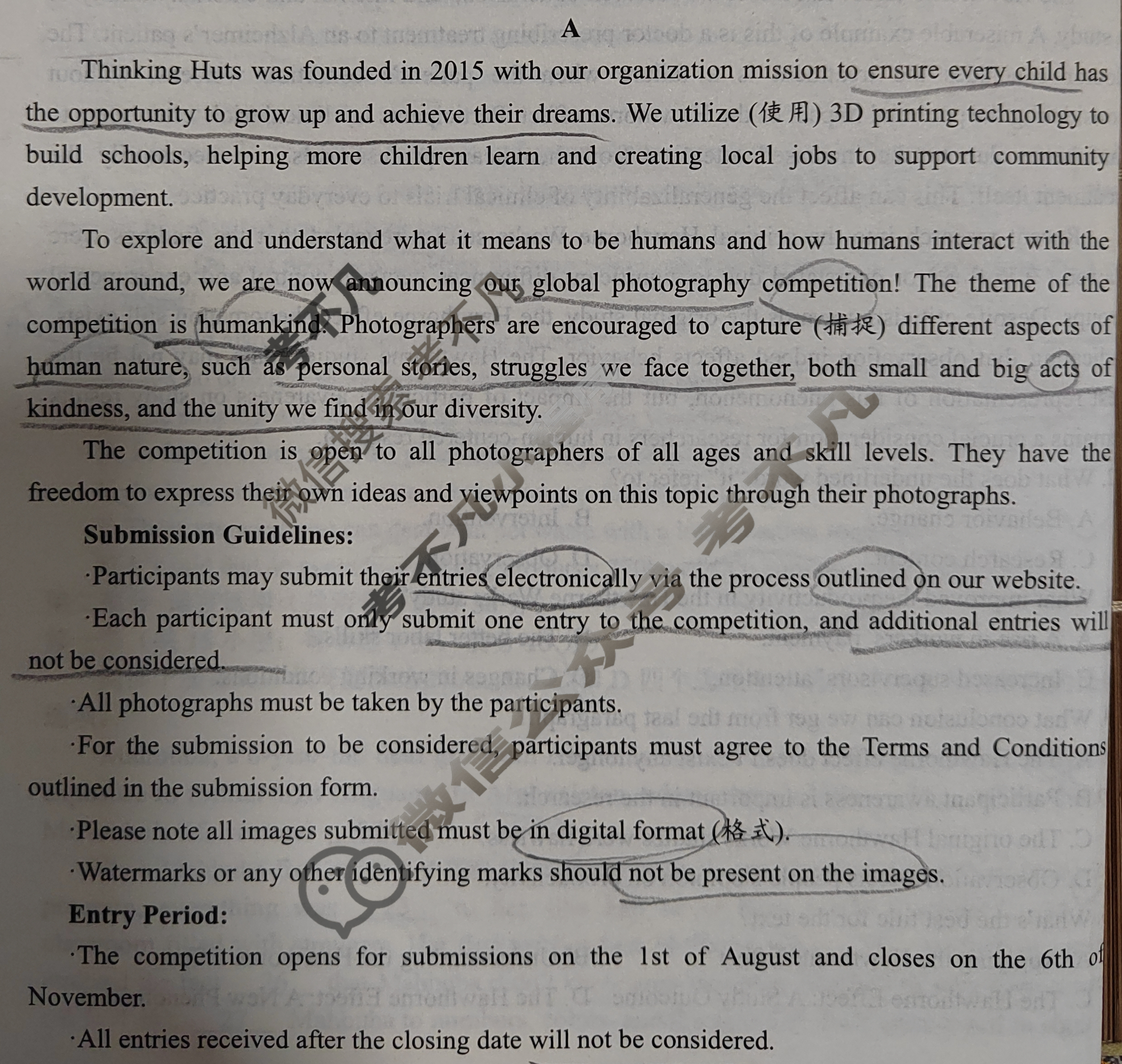 [学科网]2024届高三5月大联考英语(新课标Ⅰ卷)(广东专用)试题