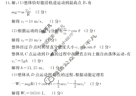 金太阳广东省2023-2024学年高一期中检测(24-484A)物理答案