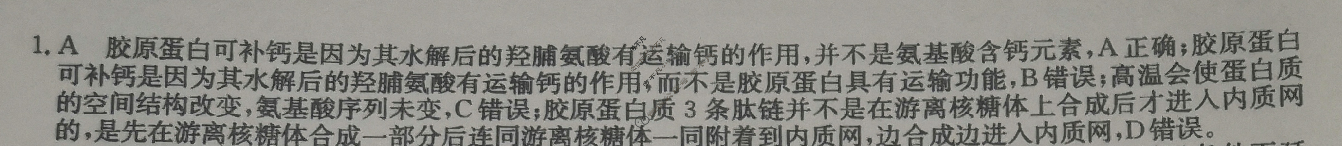 高三2024年山东省普通高中学业水平等级考试猜题信息卷(一)1生物(山东)答案