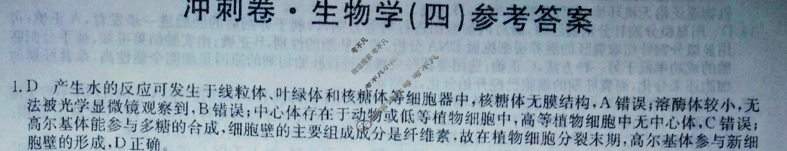 高三2024年山东省普通高中学业水平等级考试冲刺压轴卷(四)4生物(山东)答案