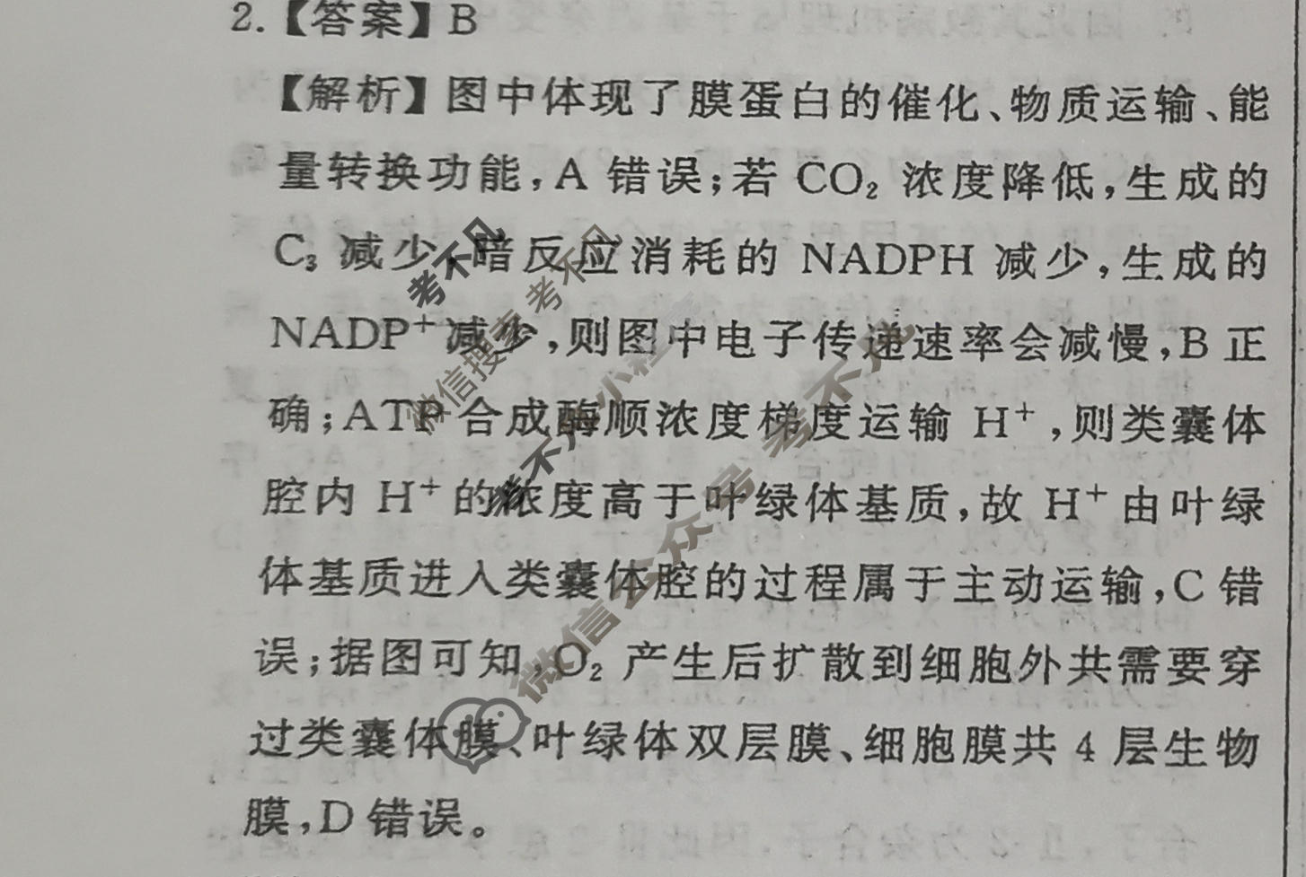 高三2024年普通高中学业水平选择性考试压轴卷(T8联盟)(二)生物答案