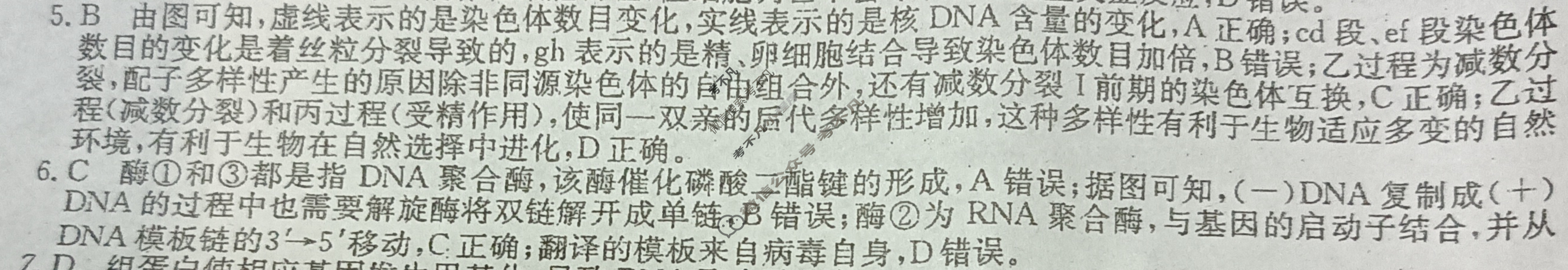 高三2024年山东省普通高中学业水平等级考试猜题信息卷(二)2生物(山东)答案