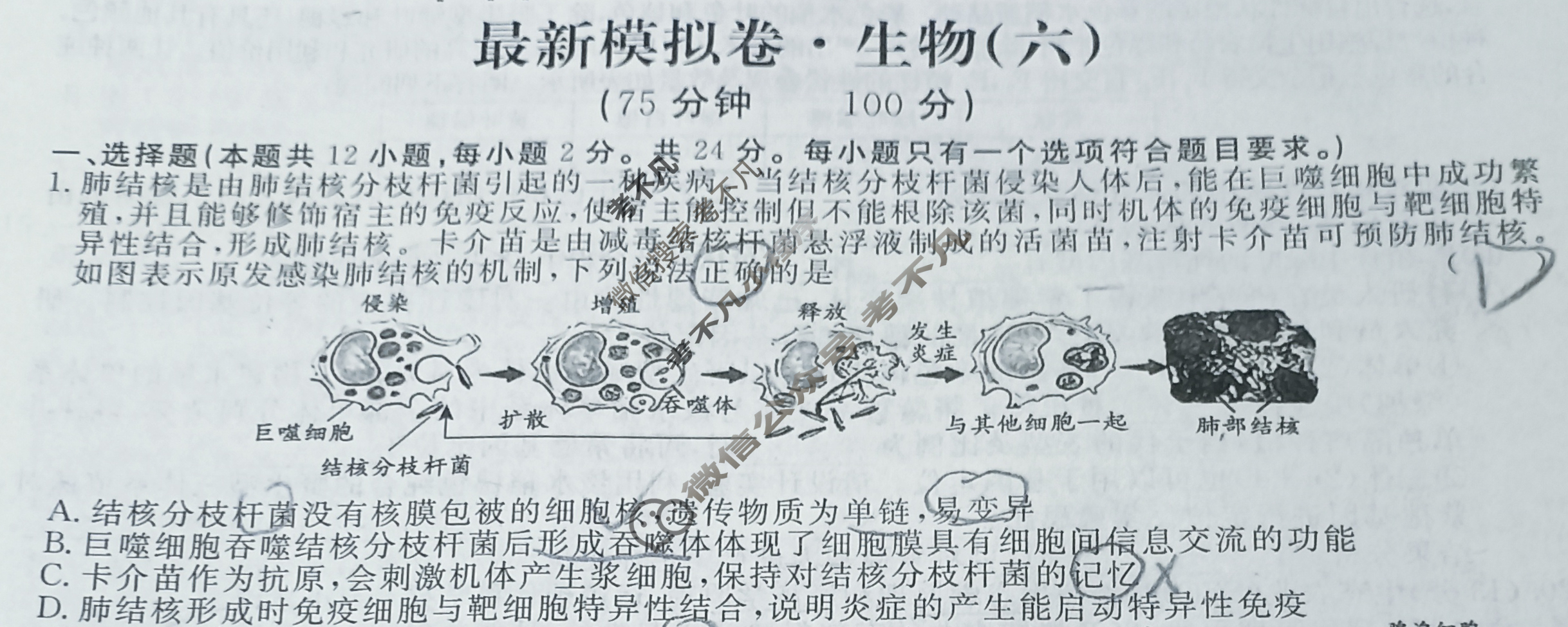 高三2024年普通高等学校招生统一考试 ·最新模拟卷(六)6生物XS4J试题