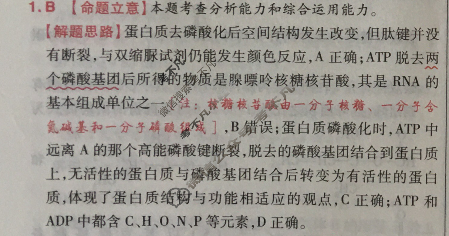 [金考卷·百校联盟]2024年普通高等学校招生全国统一考试 押题卷(六)6理科综合(全国卷)答案