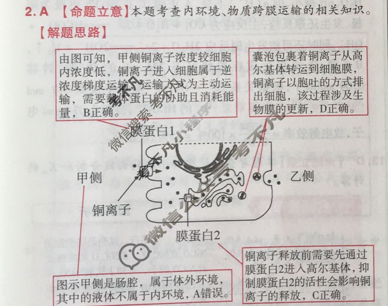 [金考卷·百校联盟]2024年普通高等学校招生全国统一考试 押题卷(二)2理科综合(全国卷)答案