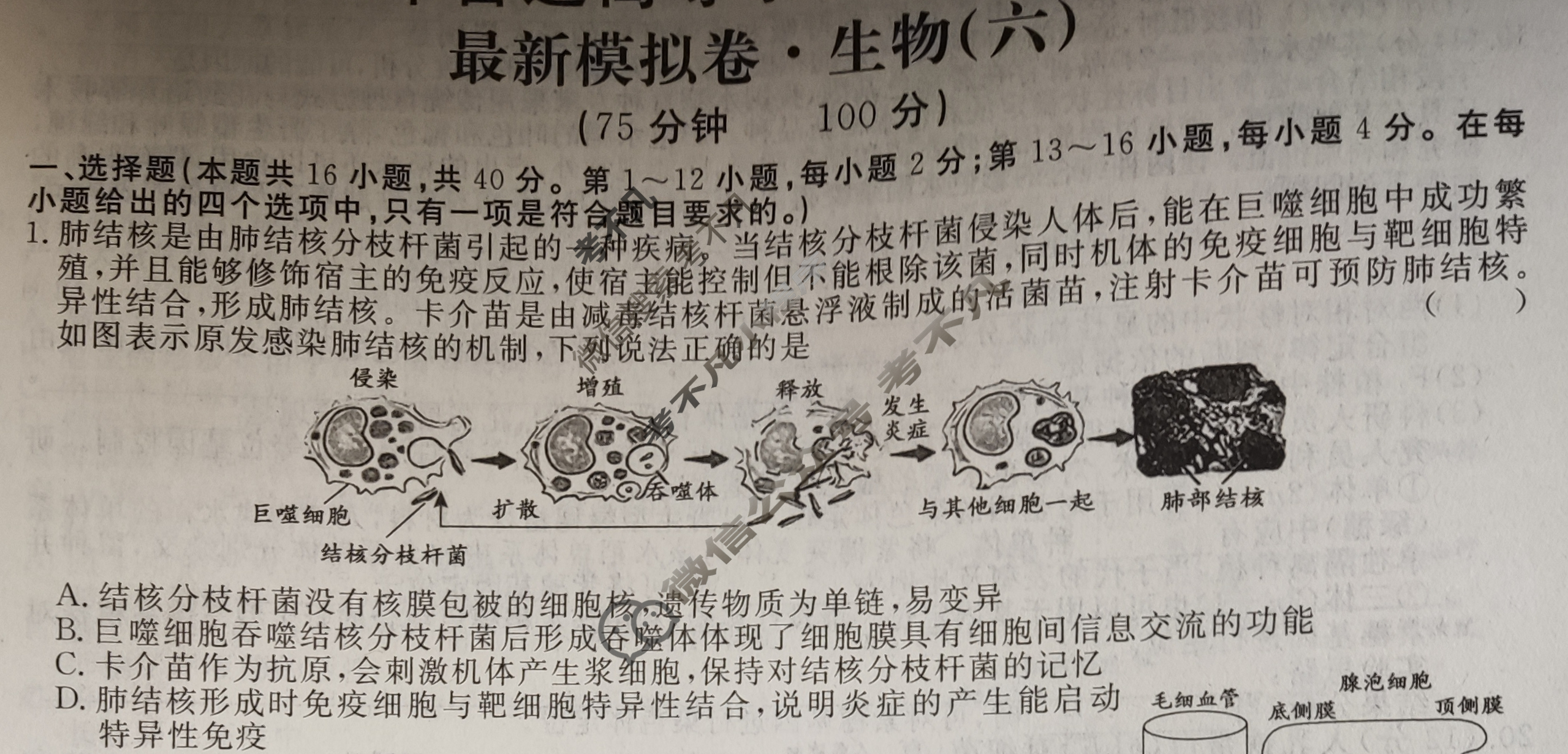 高三2024年普通高等学校招生统一考试 GDX4G·最新模拟卷(六)6生物GDX4G试题