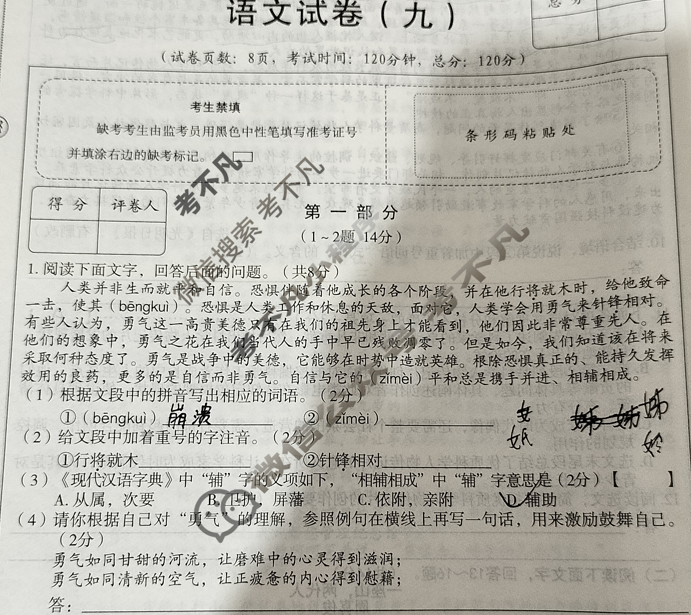 [高才博学]2024年河北省初中毕业生升学文化课模拟测评(九)9语文试题
