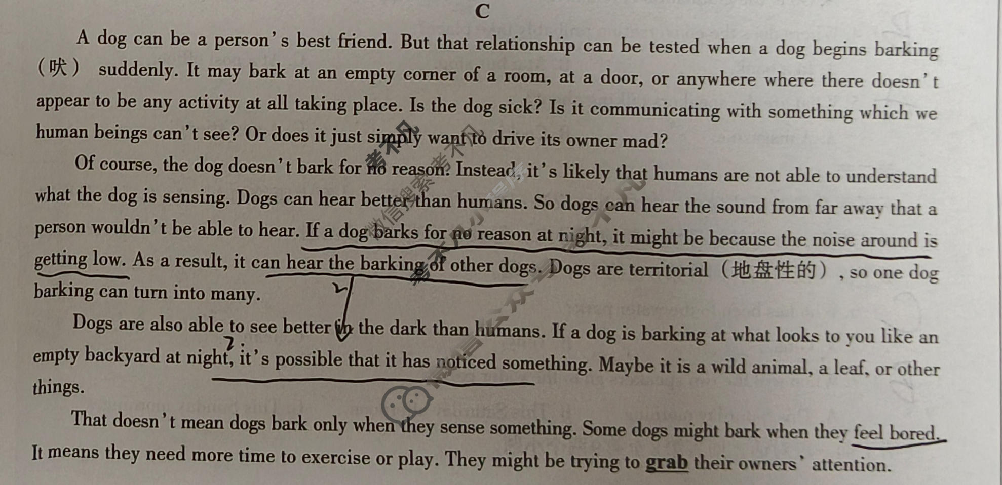 [文博志鸿]2024年河南省普通高中招生考试模拟试卷(压轴一)英语试题