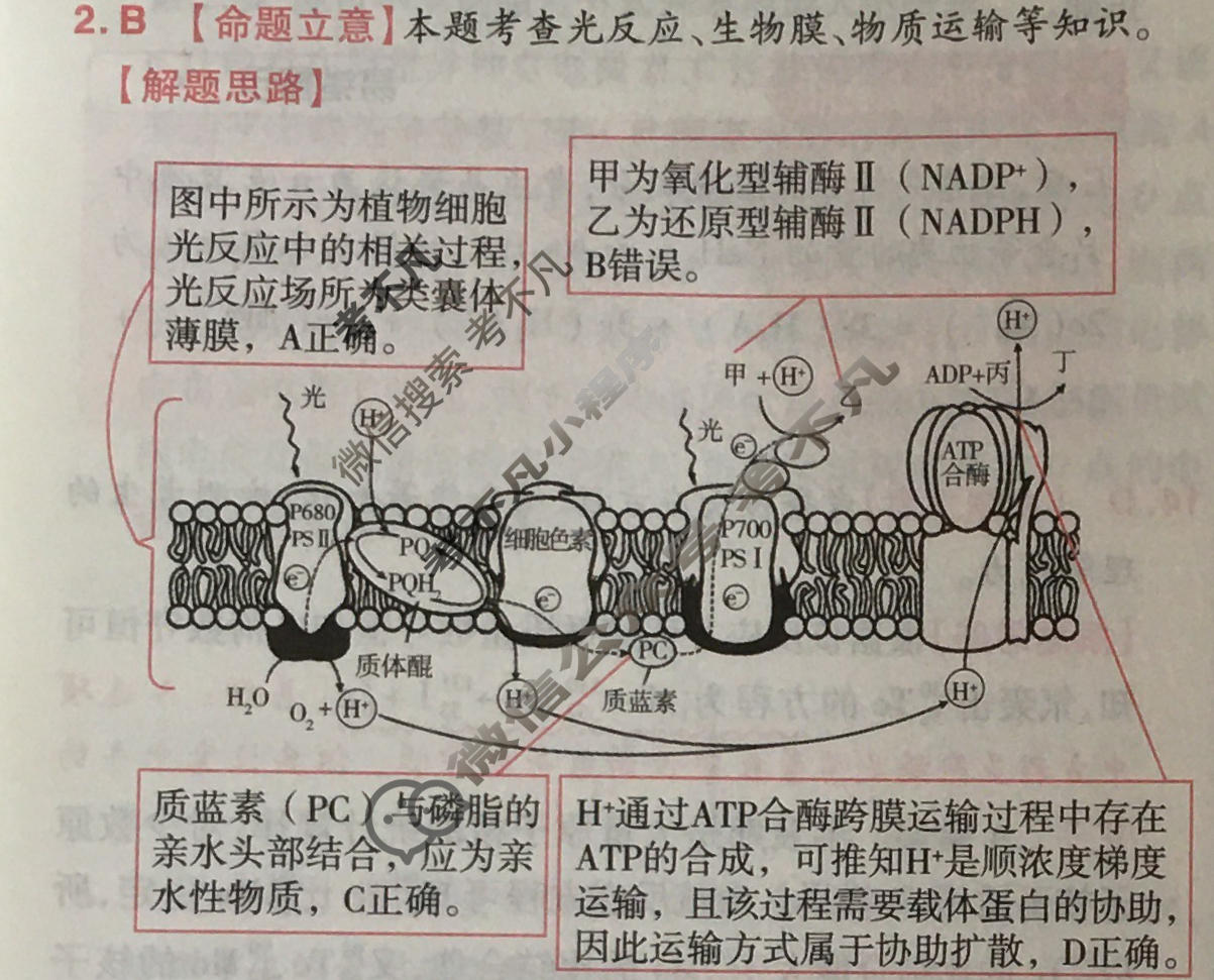 [金考卷·百校联盟]2024年普通高等学校招生全国统一考试 押题卷(三)3理科综合(全国卷)答案