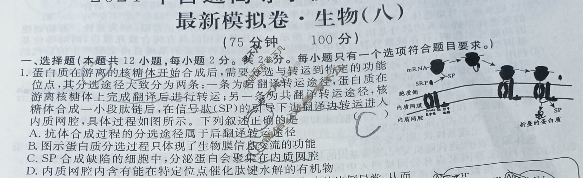 高三2024年普通高等学校招生统一考试 ·最新模拟卷(八)8生物XS4J试题