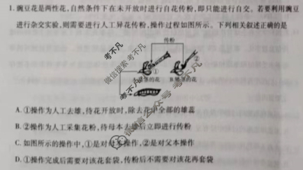 [天一大联考]2023-2024学年(下)安徽高一5月份阶段性检测生物(B卷)试题