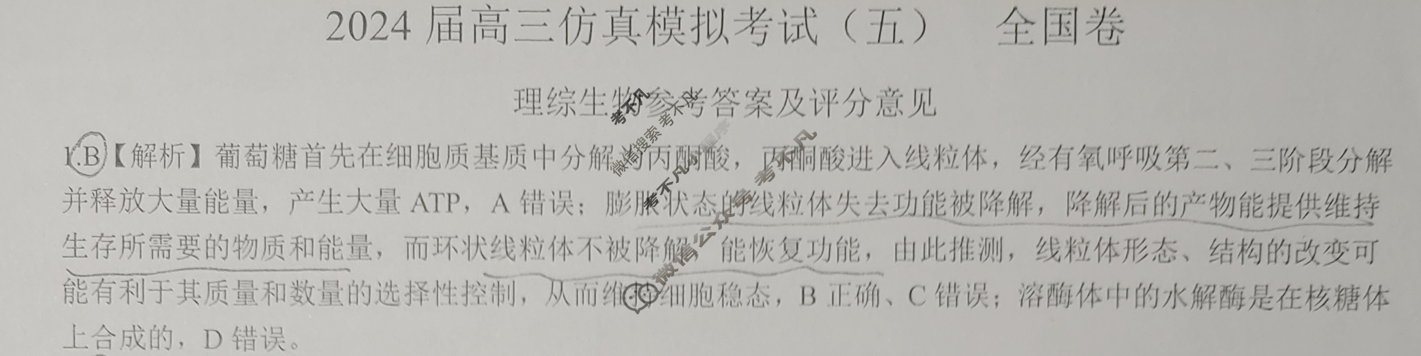 [百师联盟]2024届高三仿真模拟考试(五)5理科综合(全国卷)答案