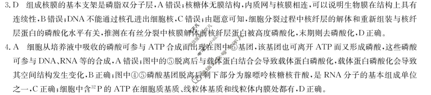 [九师联盟]2023~2024学年高三核心模拟卷(下)(五)5生物(XKB-N)答案