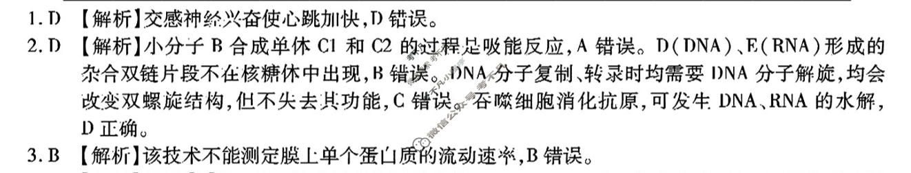 [重庆市]高2024届高三第九次质量检测(2024.05)生物答案