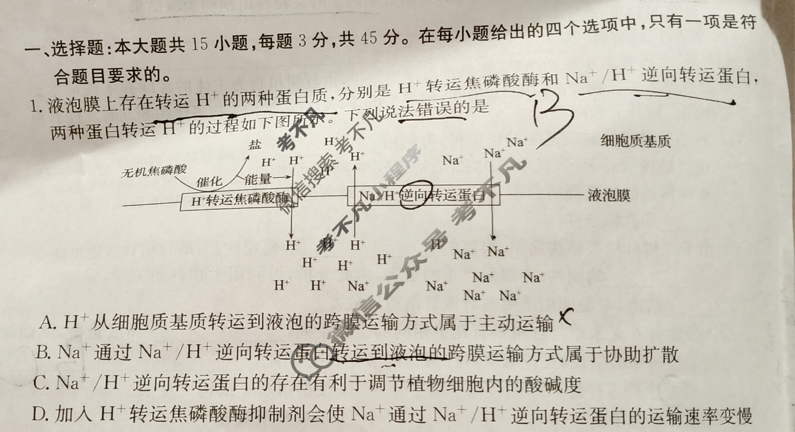 高三2024普通高中学业水平选择性考试·冲刺押题卷(四)4生物(新教材-AC)试题