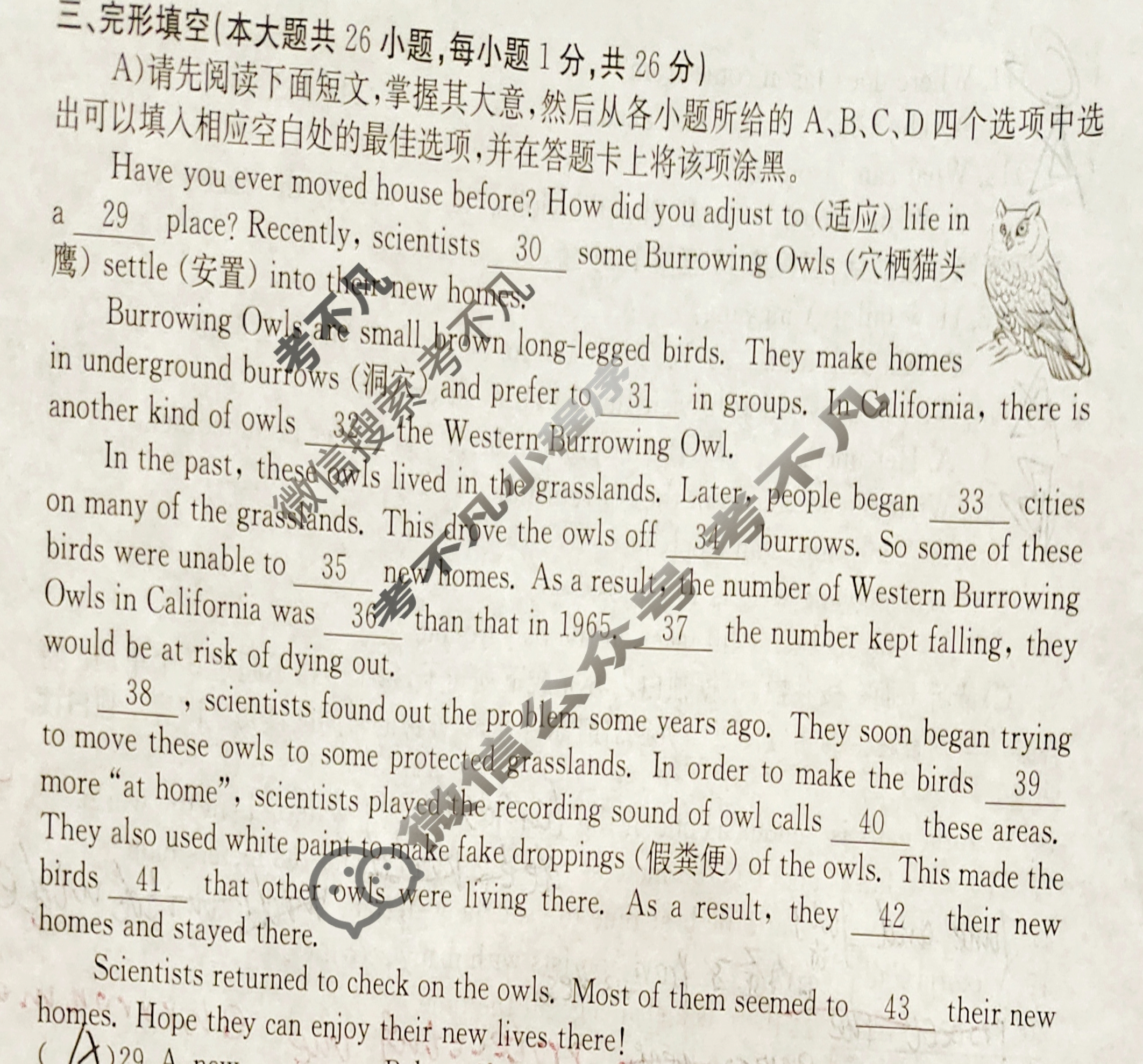 江西省2024届八年级第七次阶段适应性评估[R-PGZX A JX]英语试题