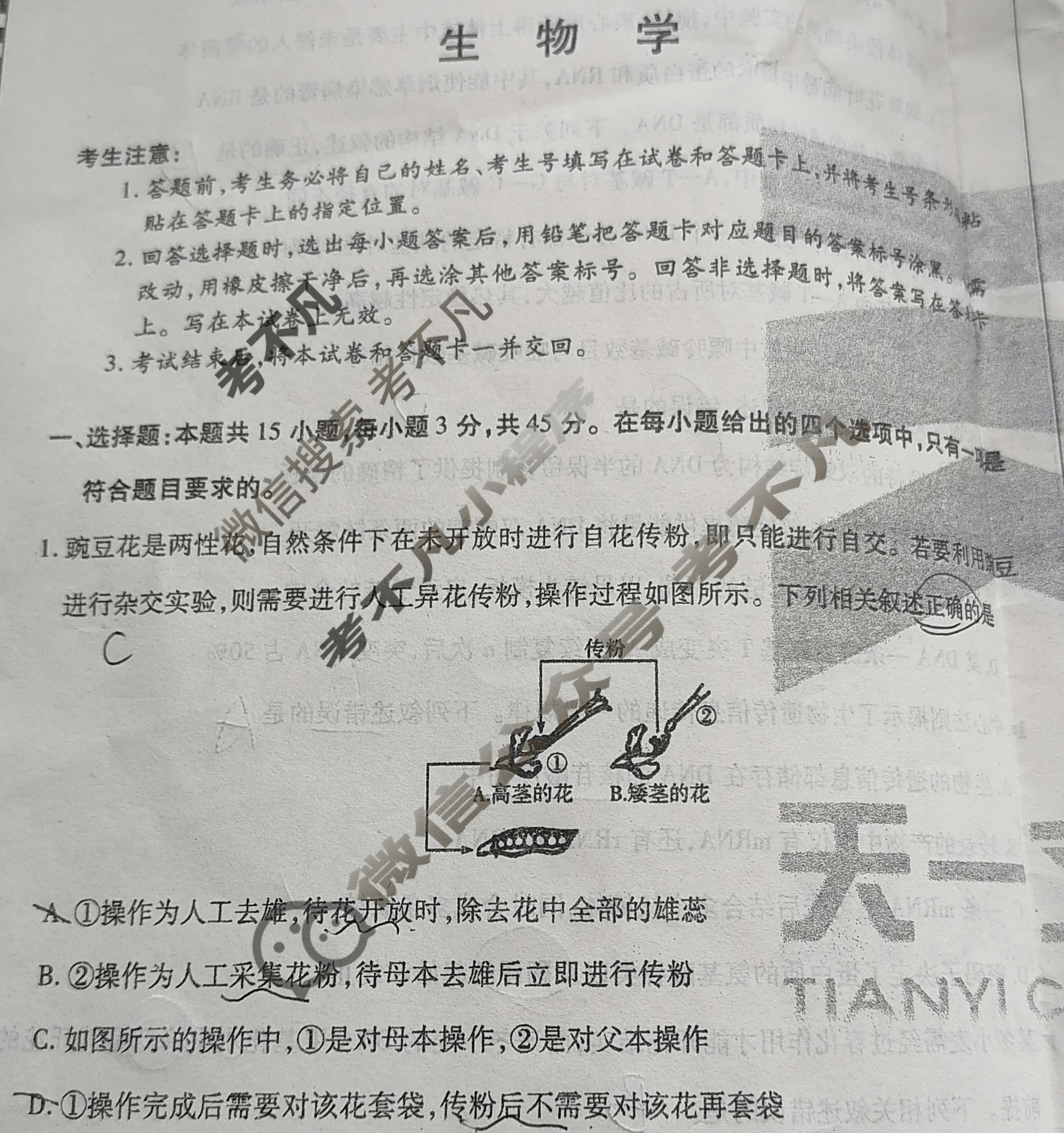 [天一大联考]2023-2024学年(下)安徽高一5月份阶段性检测生物(A卷)试题