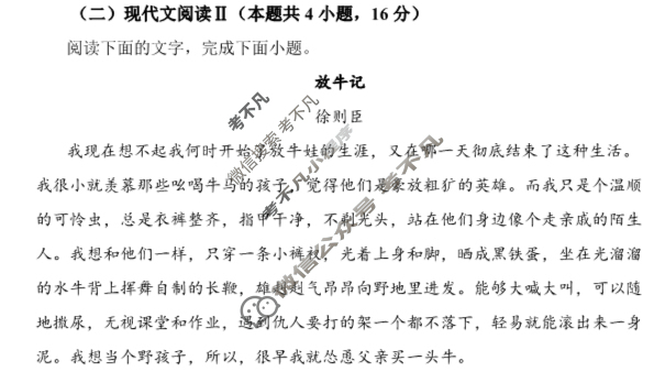 2024年高考真题[新课标Ⅰ卷]语文试题