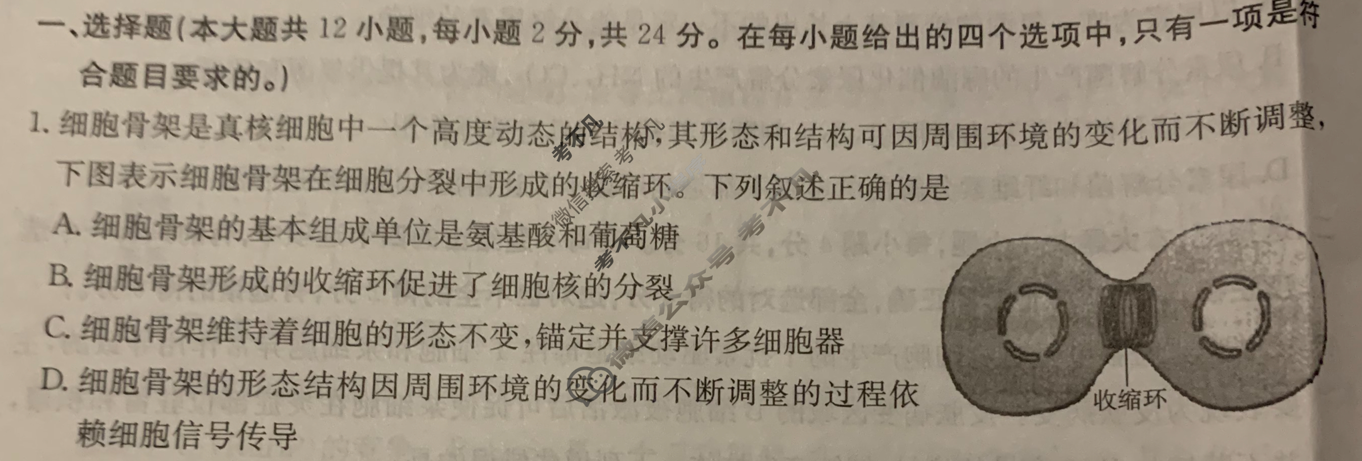湖南省2024年普通高中学业水平选择性考试·生物(六)6[24·(新高考)ZX·MNJ·生物·HUN]试题