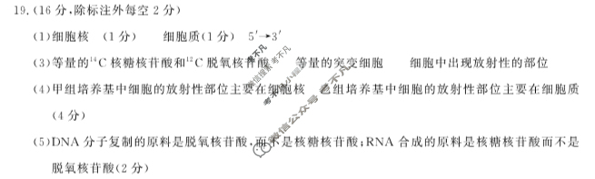 [湖北省]武汉市部分重点中学2023-2024学年高一年级下学期期末联考生物答案
