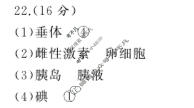 涡阳县2023-2024年度第二学期义务教育教学质量检测七年级(2024.6)生物答案