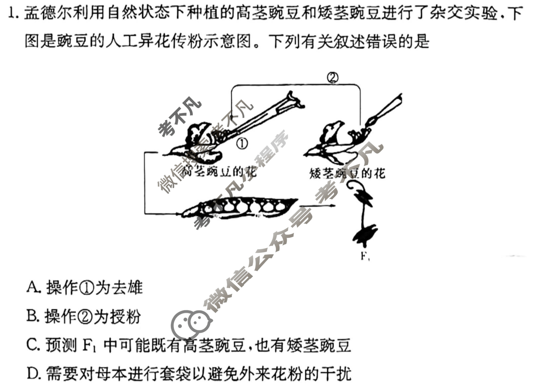炎德英才大联考(长郡版)长郡中学2024年上学期高一期末考试生物试题