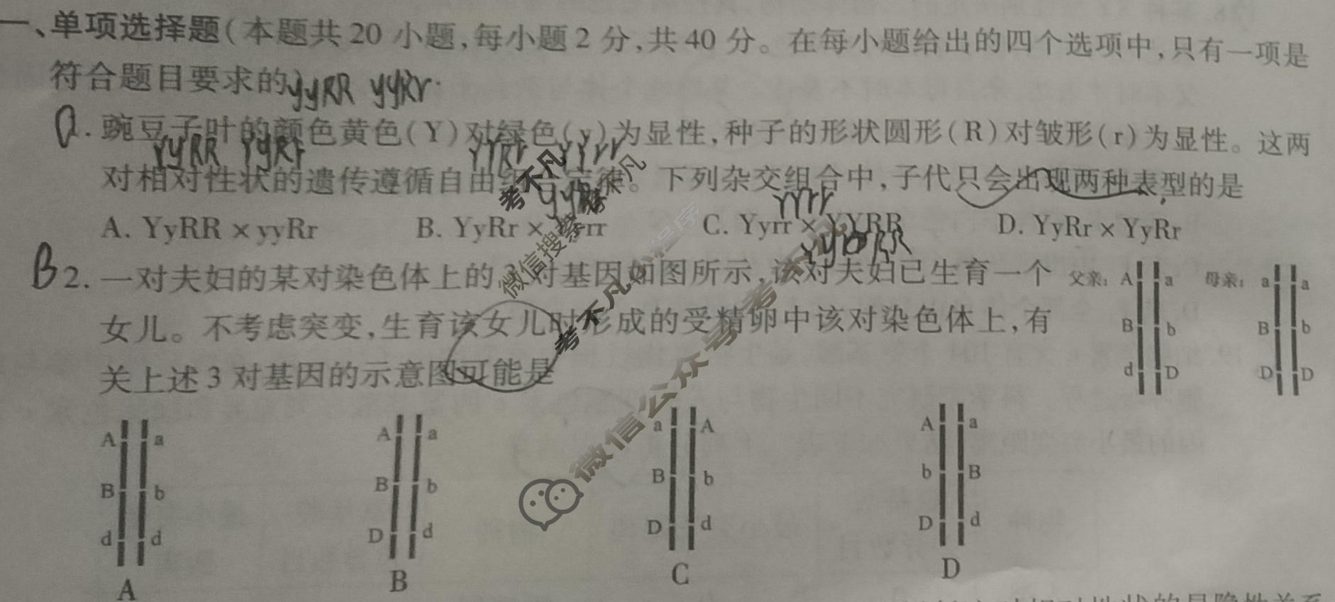 [陕西省]2023-2024学年度高一第二学期阶段性学习效果评估生物(人民教育)试题