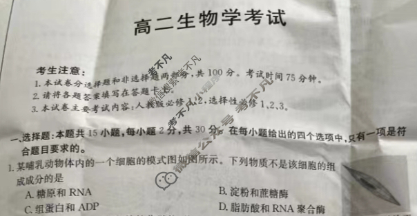 内蒙古2023-2024学年高二金太阳7月联考(梯形)生物试题