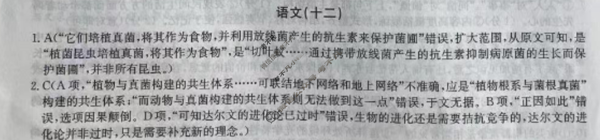 高三2025届高考考点滚动提升卷 语文(十二)12答案