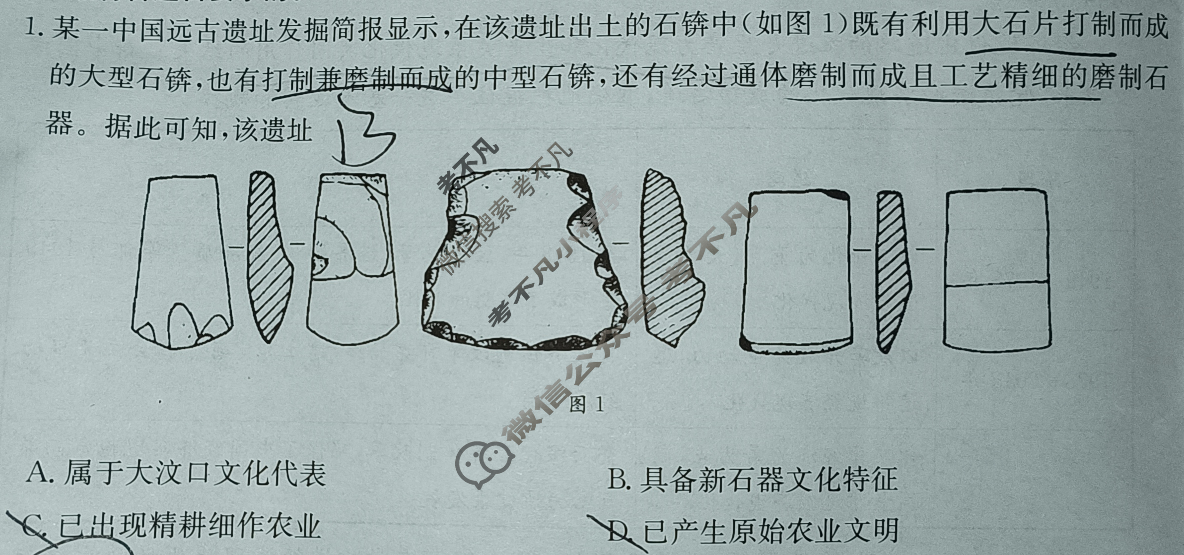金太阳云南省2024-2025届高三年级开学考(25-10C)历史试题