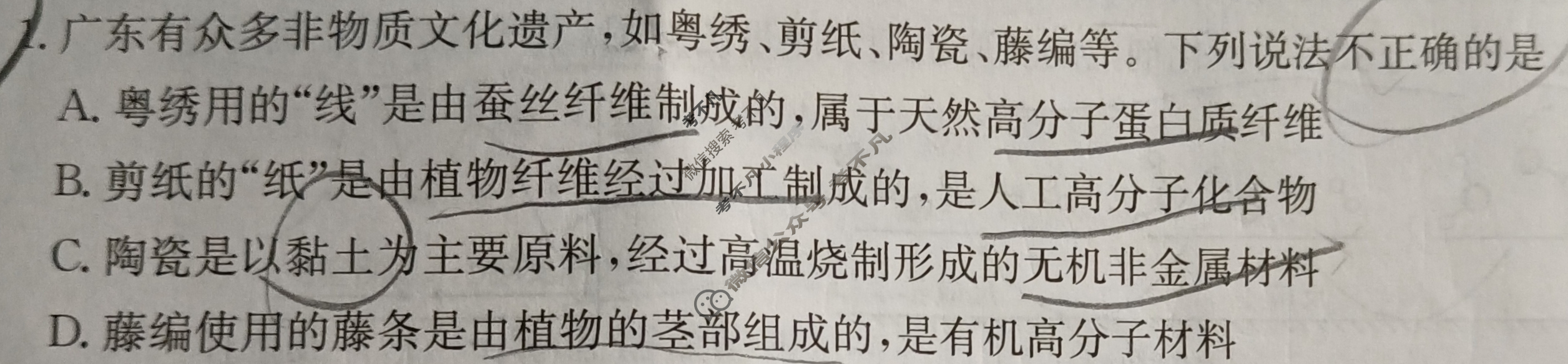 广东省2025届高三8月金太阳联考(25-01C)化学试题