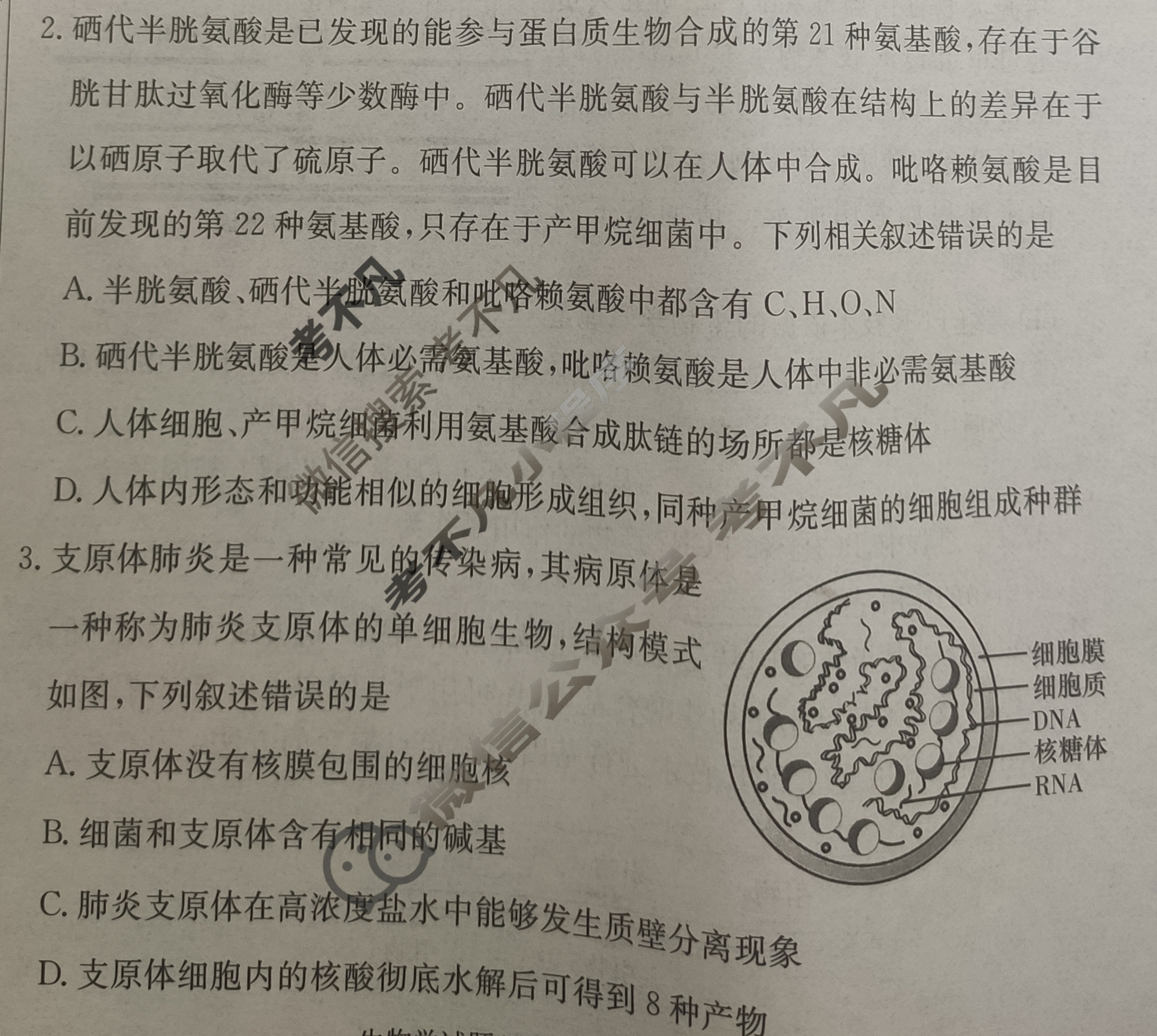 炎德英才大联考(一中版)长沙市一中2025届高三月考试卷(一)1生物试题