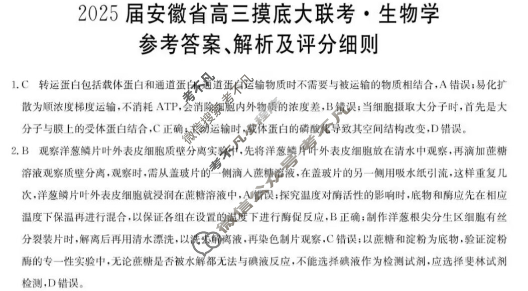 [九师联盟]2025届安徽省高三摸底大联考生物W答案