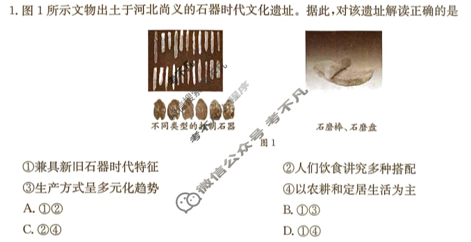 金太阳2024-2025学年河北省高三年级上学期9月份考试历史(35C2)试题
