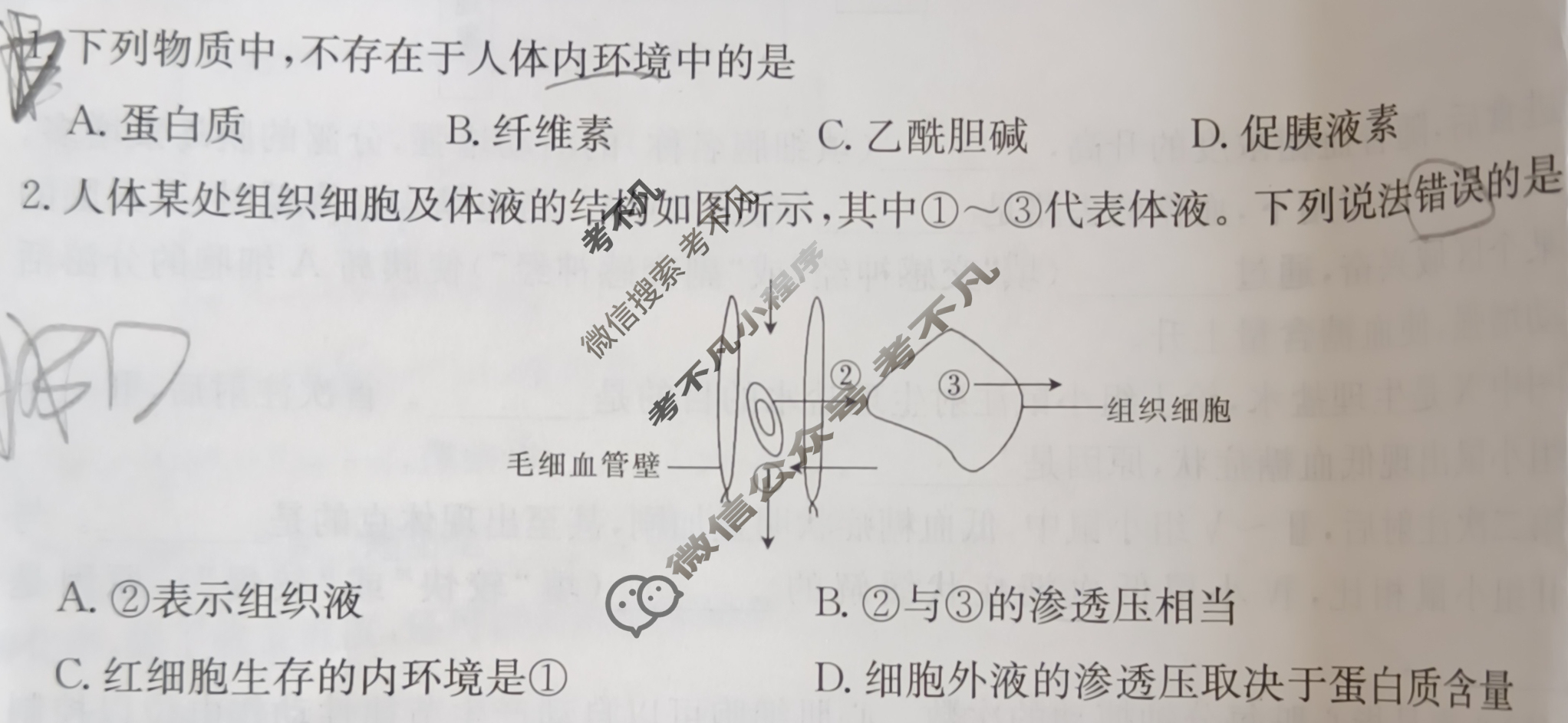 陕西省2024-2025学年高二金太阳9月联考(无角标)生物试题