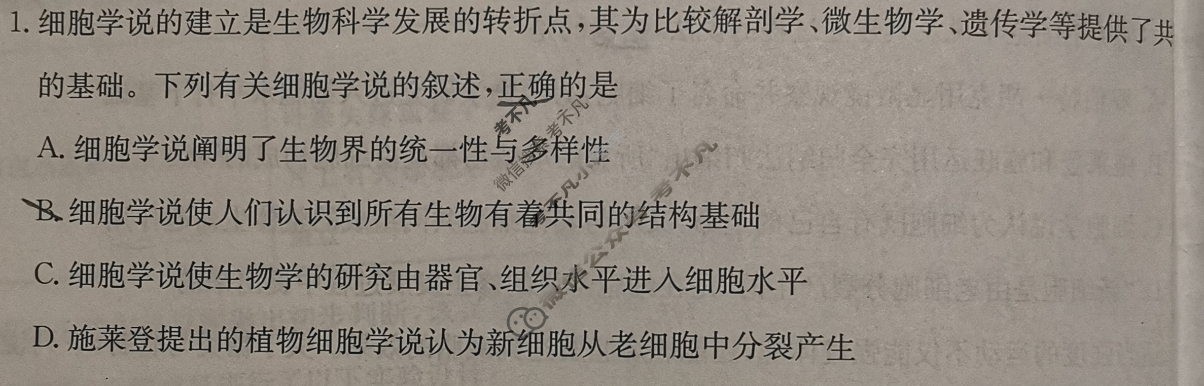 陕西省2024-2025学年高一金太阳9月联考(无角标)生物试题