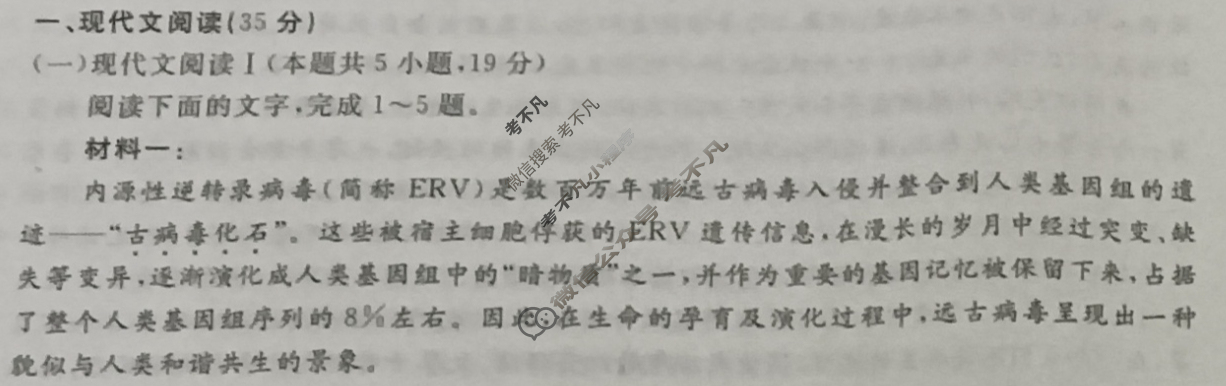 四川省2024年25届高三金太阳10月联考(无角标)语文试题