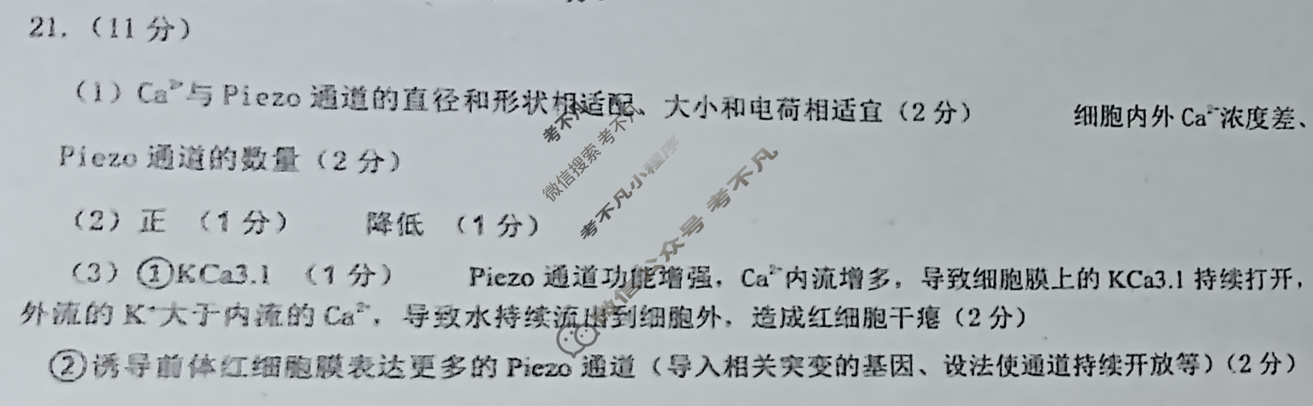 山东高三新高考联合质量测评10月联考(2024.10)生物答案