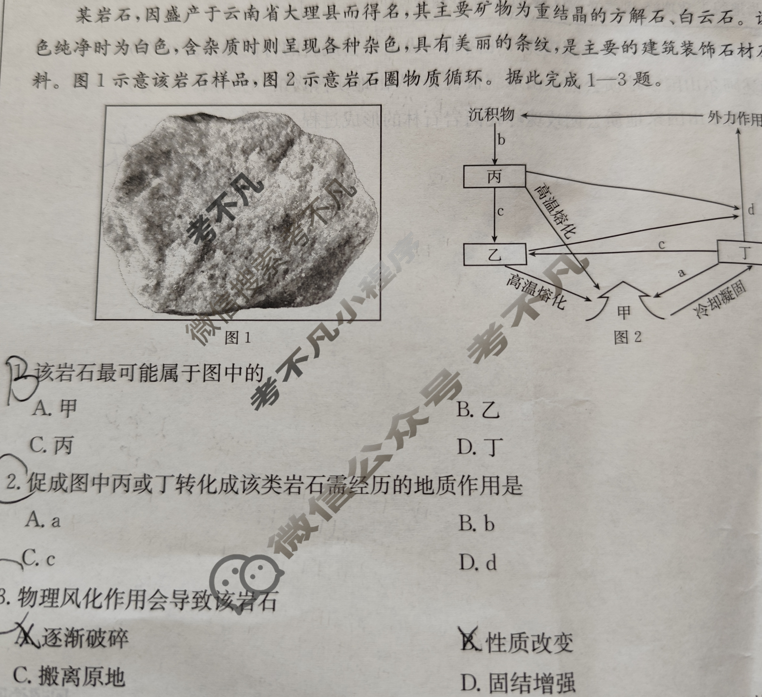 江西省2024-2025学年高二金太阳10月联考(无角标)地理试题