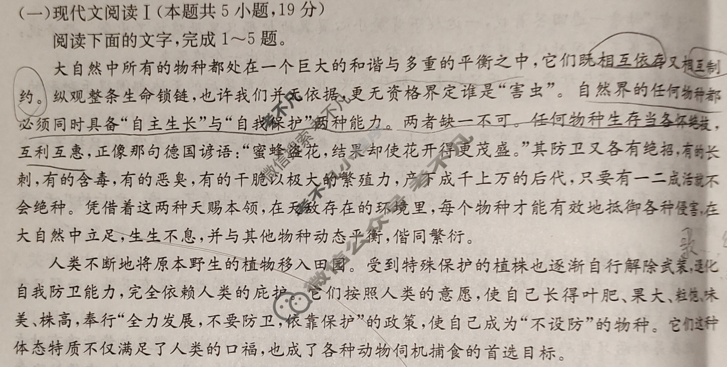 云南2025届高三金太阳10月联考(无角标)语文试题
