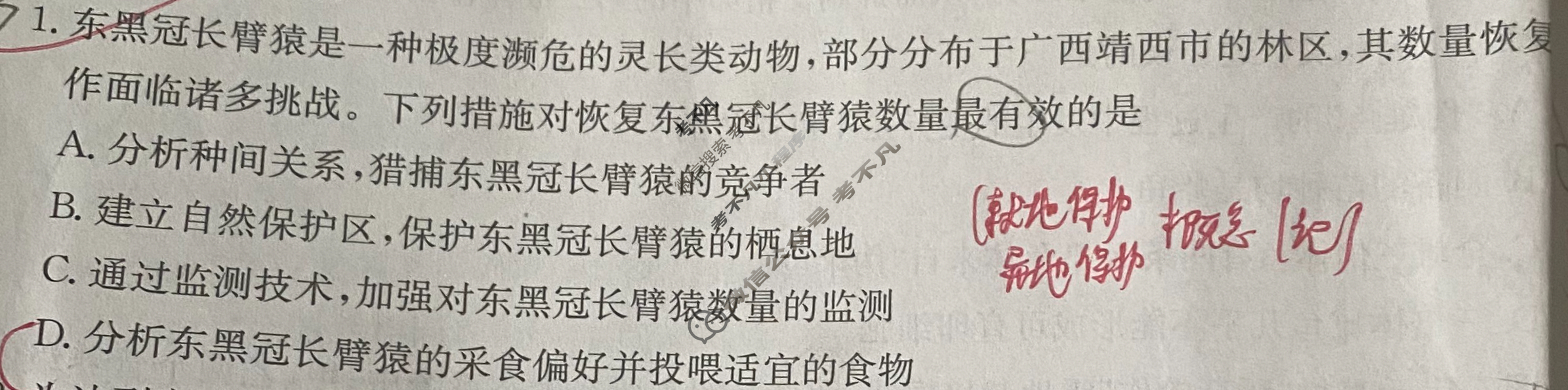 云南2025届高三金太阳10月联考(无角标)生物试题