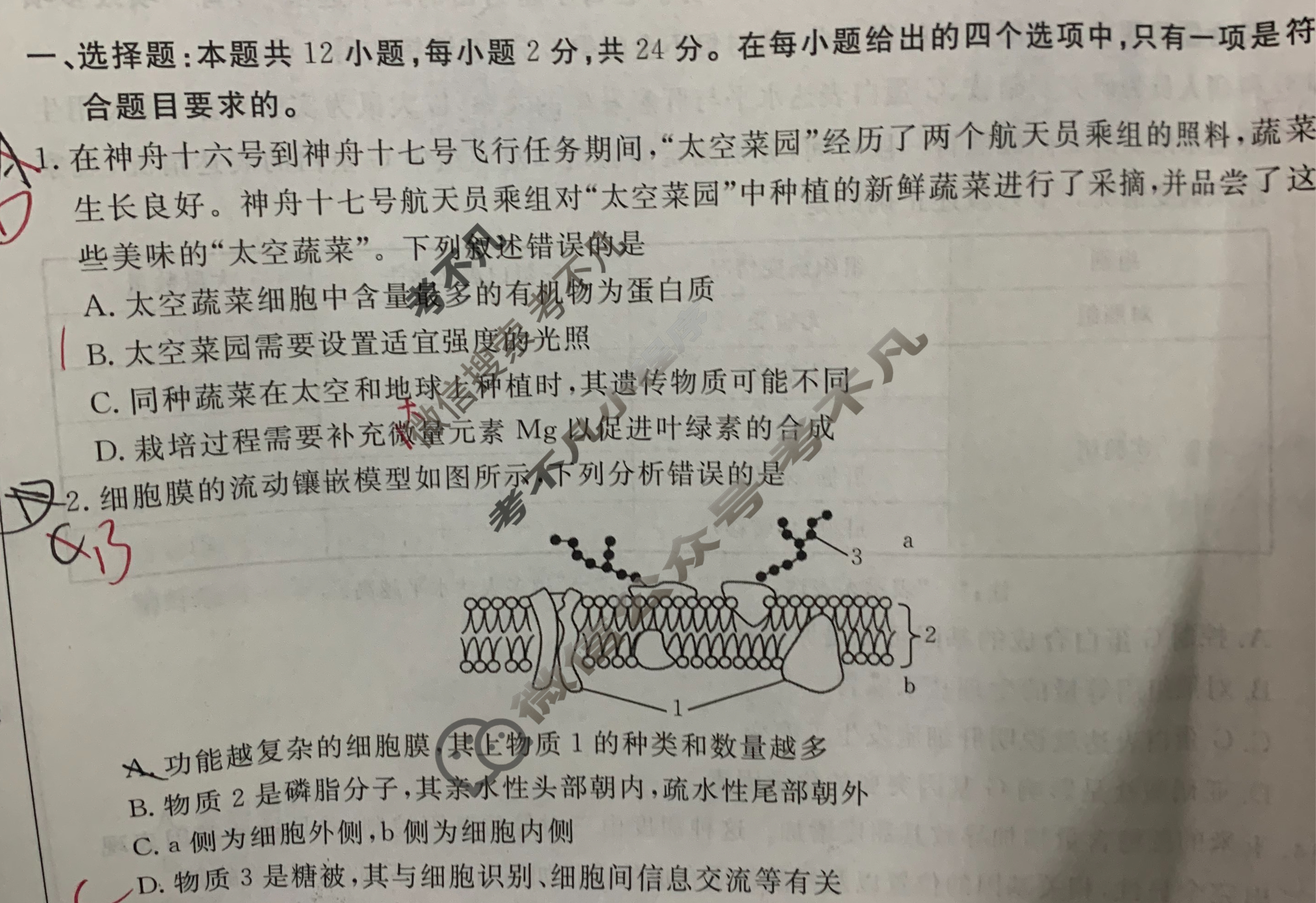 2024-2025学年湖南省高二金太阳10月联考(无角标)生物试题